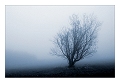 groesseres bild