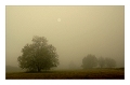 groesseres bild