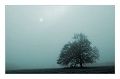 groesseres bild