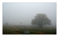 groesseres bild