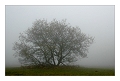 groesseres bild
