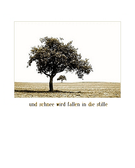 ...zum bild/text